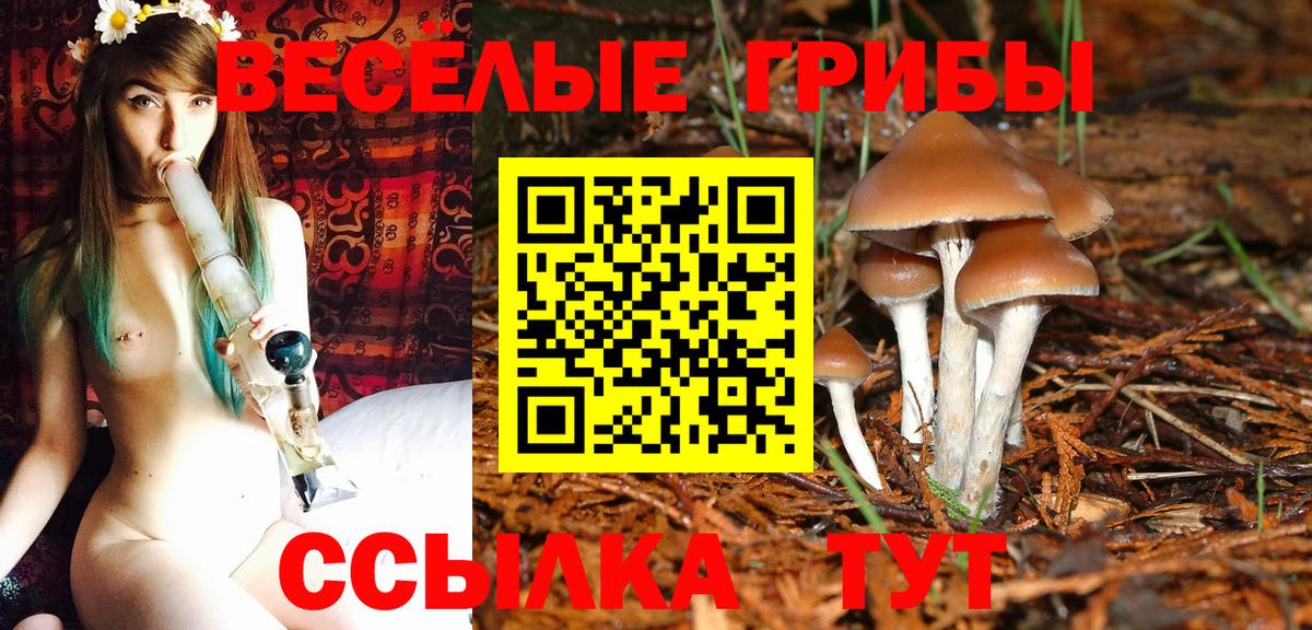 Псилоцибиновые грибы мицелий Мелеуз